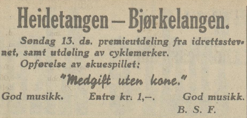 13061937 Heidetangen annonse