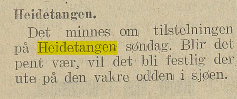 04061935 Heidetangen annonse